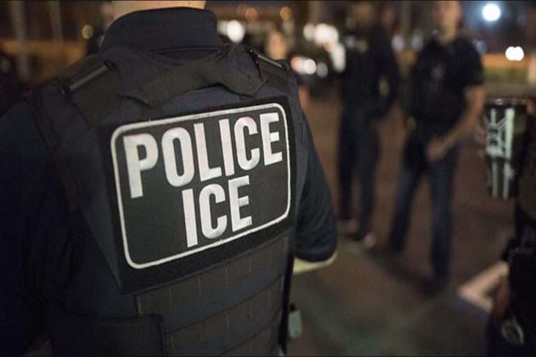 ice police 2