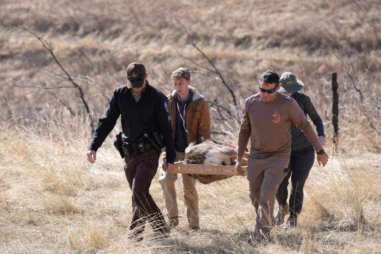 2025 02 28 deercaptures timpwma packer (4)