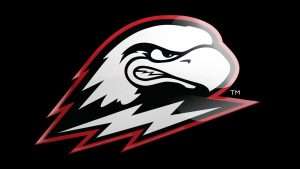 1920x1080 birdhead