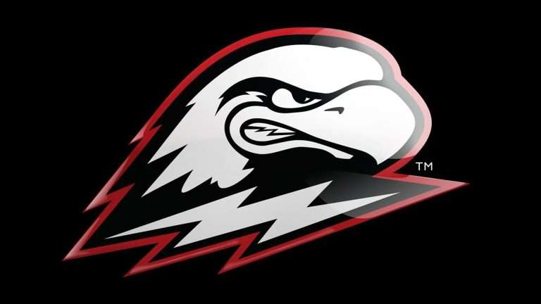1920x1080 birdhead