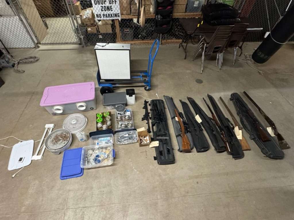 mushroom bust image 3