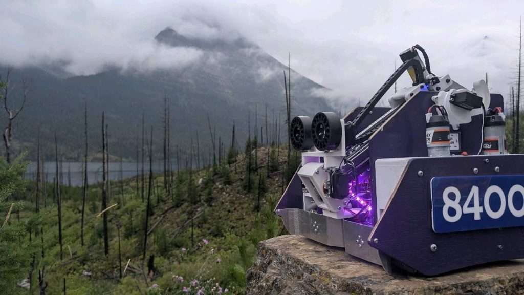 img8546756919315717444