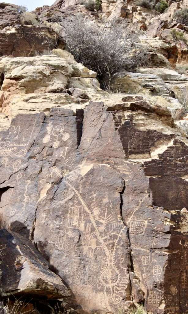 parwaon gap image 3