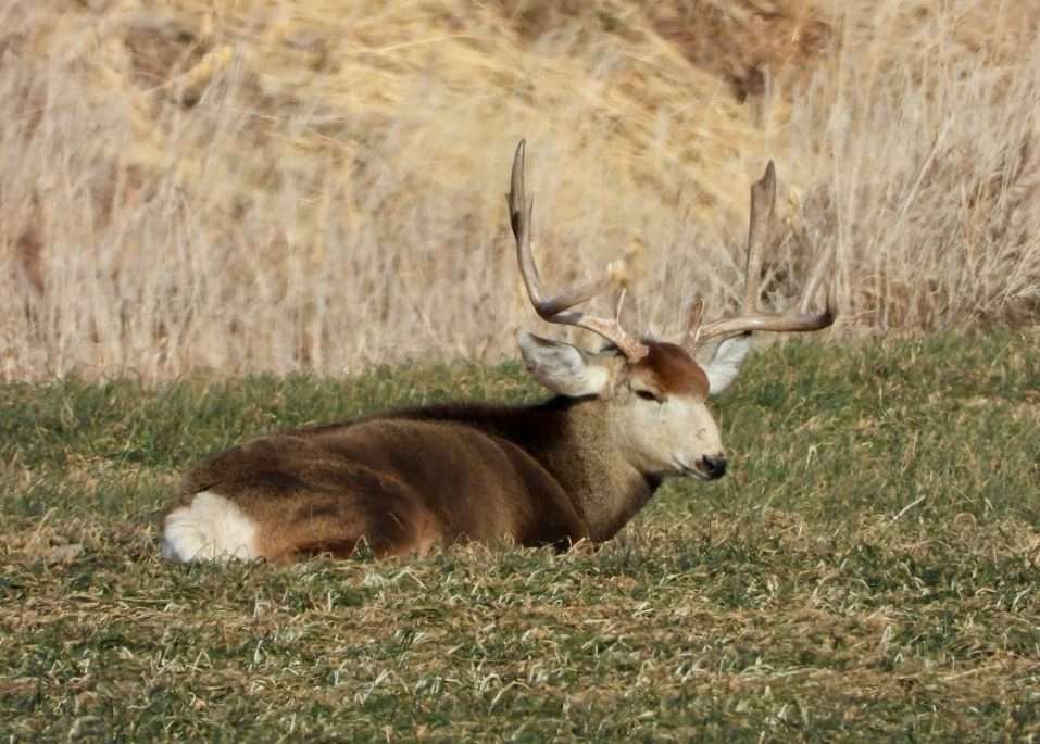 screenshot 2025 09 25 144424