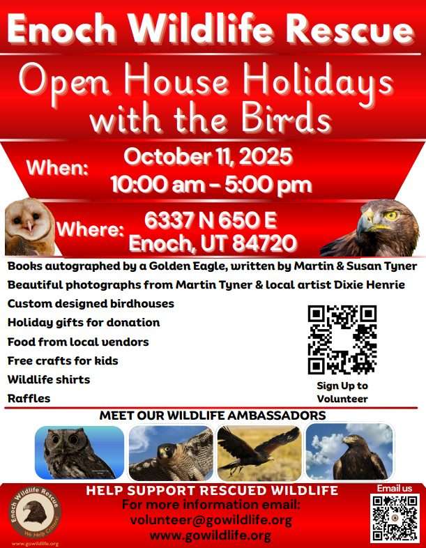 screenshot 2025 09 26 134951