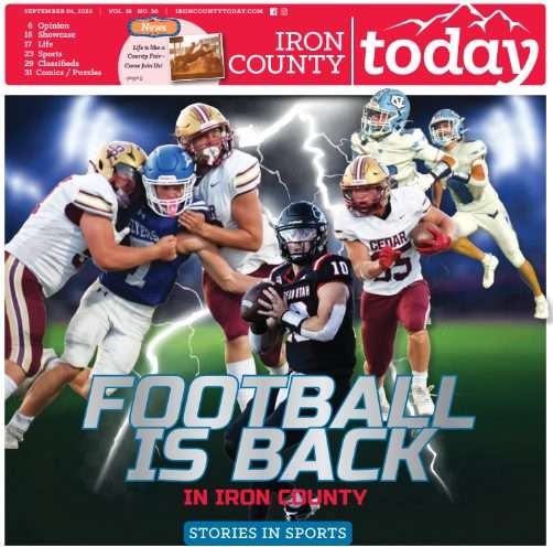 screenshot 2025 11 21 152430