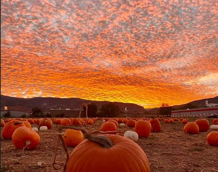 screenshot 2025 10 09 153420