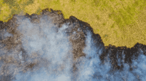 screenshot 2025 10 23 144959