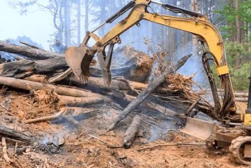 screenshot 2025 10 31 114945