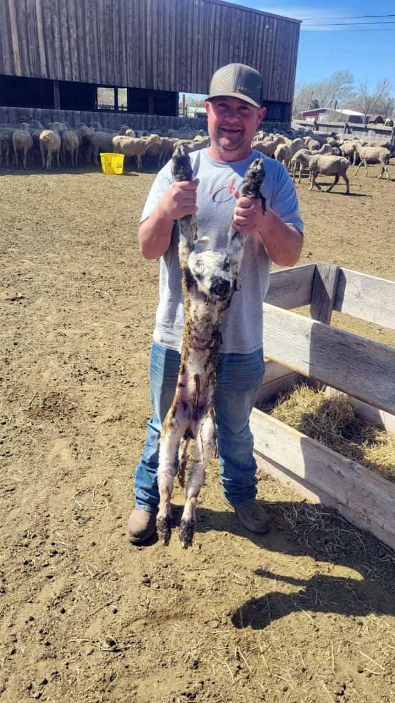 philip jeffries obit pic