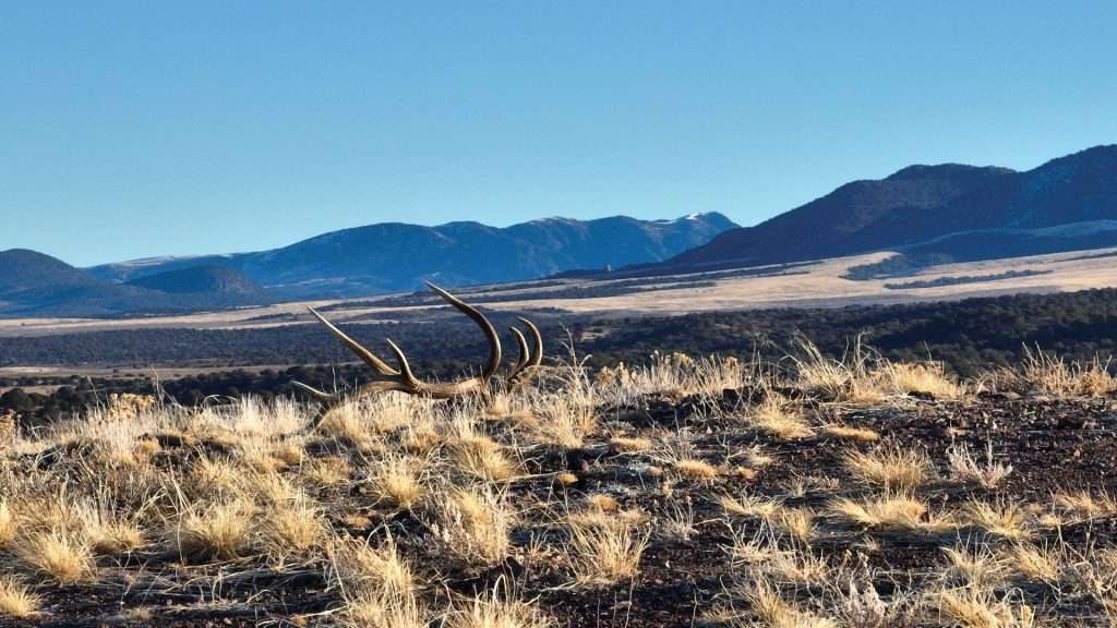 2024 1 30 e.k shed antler 2 ptuttle