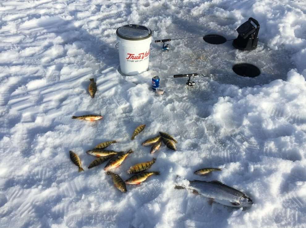 screenshot 2025 12 15 134338