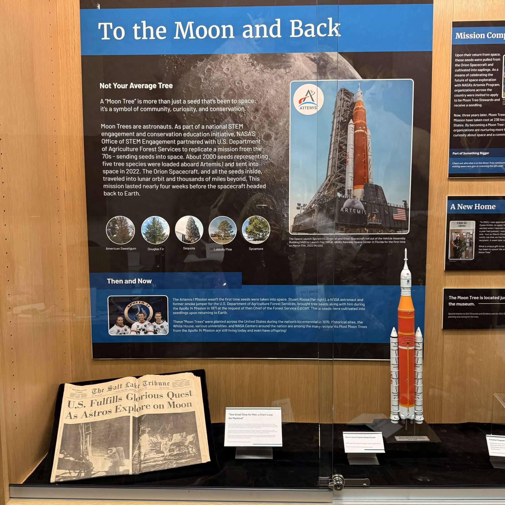 museums frehner museum of natural history