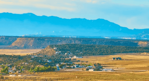 screenshot 2026 01 14 103042