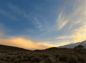 screenshot 2026 01 23 125407