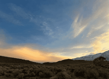 screenshot 2026 01 23 125407