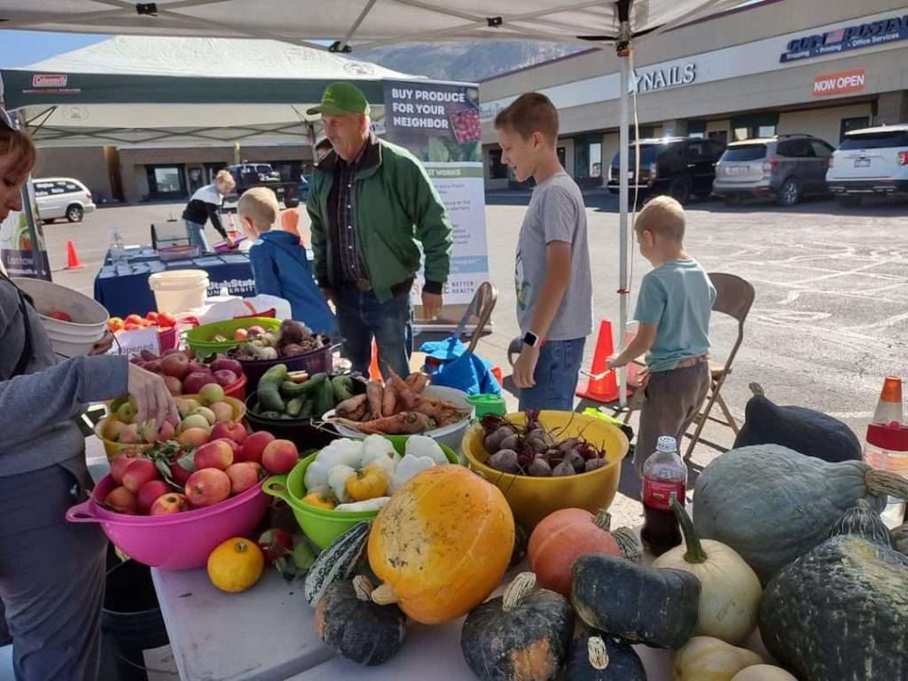 farmers market image 2