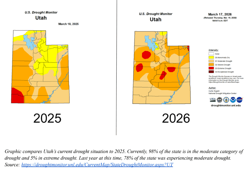 screenshot 2026 03 19 135645