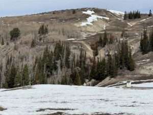 screenshot 2026 04 09 123920