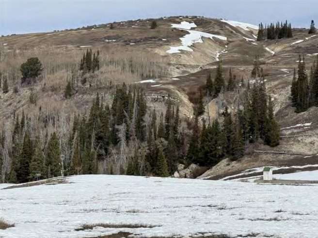 screenshot 2026 04 09 123920