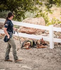 k9 image
