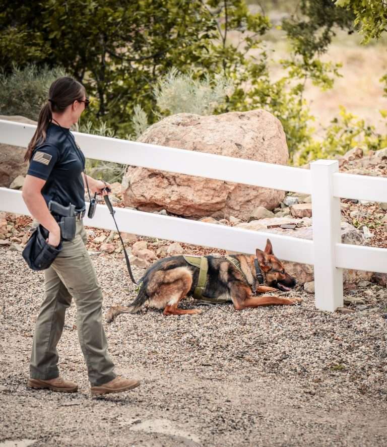 k9 image