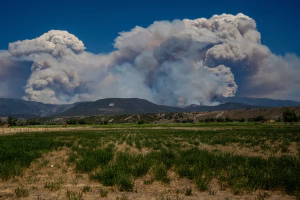 trent nelson salt lake trib